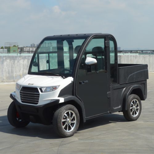 ECAR S-Series 2 Seat Utility Golf Cart