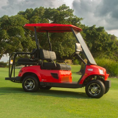 Tomberlin E-Merge Revenge 4 Seat Golf Cart