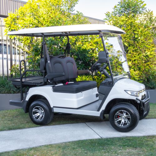 ECAR Lithium Magnum 4S Golf Cart