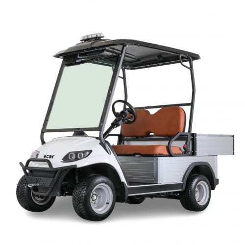 ECAR Lithium IKON HD 2UL Golf Cart