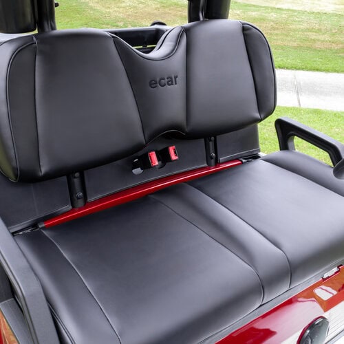 ECAR Lithium Magnum 2S Platinum Golf Cart