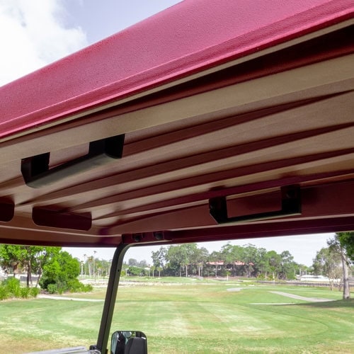 ECAR Lithium Magnum 2S Platinum Golf Cart