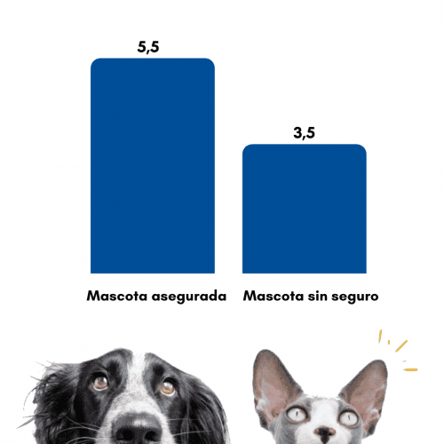 GRAFICO FINAL 3 GRAFICO FINAL 3
