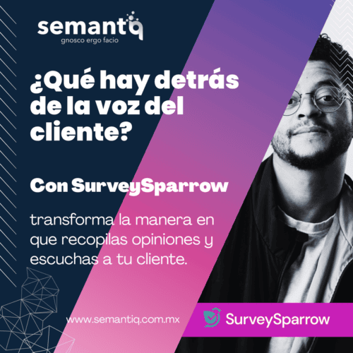 Piezas Survey