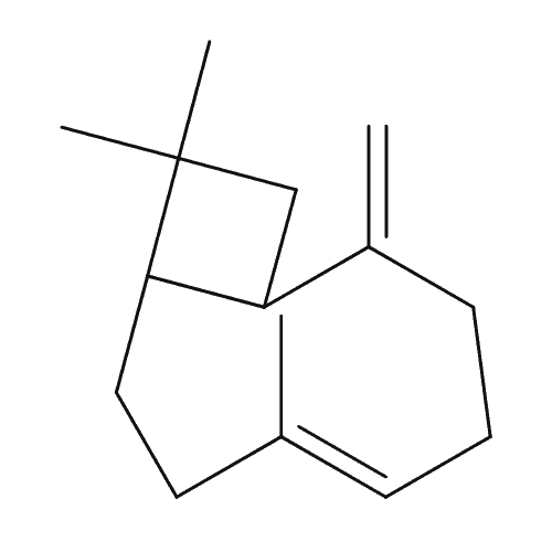 β-Caryophyllene chemical structure