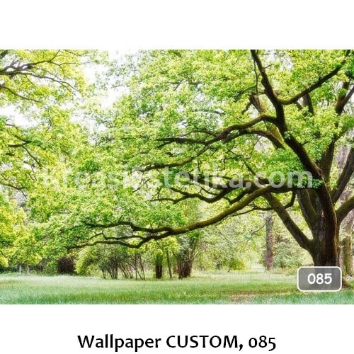 Wallpaper CUSTOM, 085