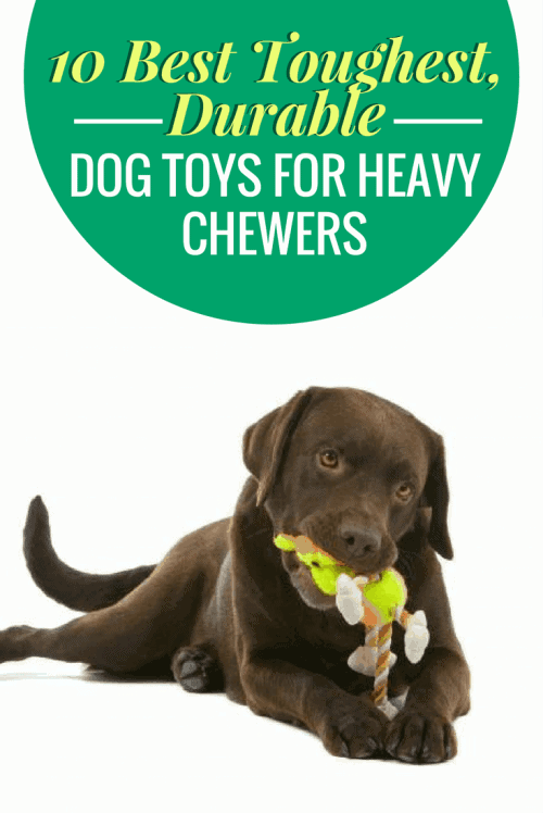 10 Best Toughest, Durable Dog Toys For Heavy Chewers