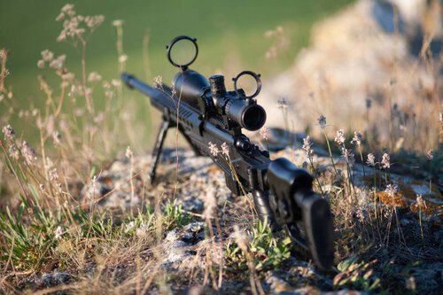 308 vs 556 2022 Comparison Gun Mann 308 vs 556 2022 Comparison Gun Mann