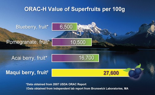 Maqui Berry ORAC Chart Maqui Berry ORAC Chart