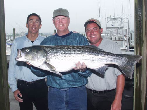 Block Island Striped Bass - 2004