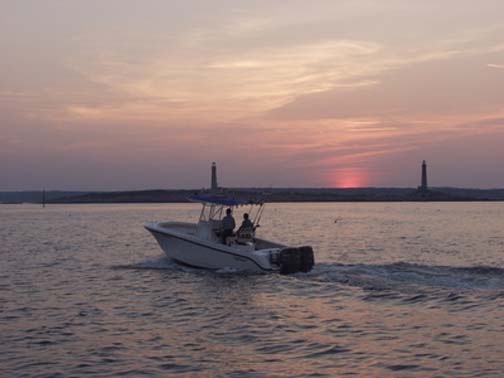 Jeffreys Ledge Sharks