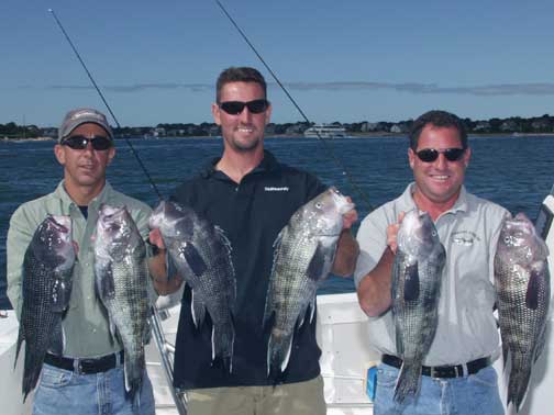 Nantucket Sound Sea Bass - 2004
