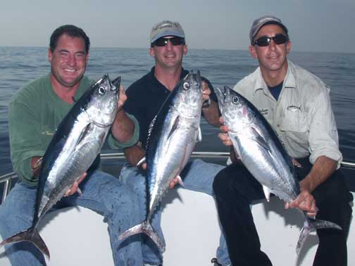 Rhode Island Sound Tuna - 2004