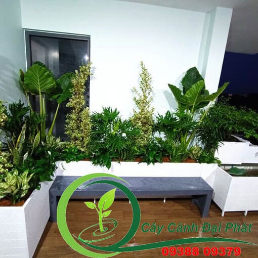 Chậu composite vuông, chữ nhật 4