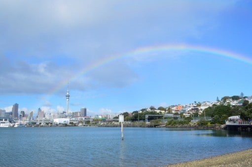Auckland Rainbow