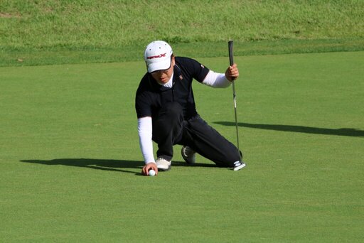 golf, golf course, grass