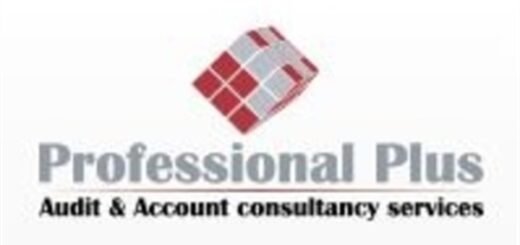 Professional Plus: Audit Officer - One Month Audit Assignment