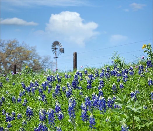 Argyle Texas