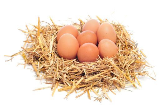 7 chicken eggs in a mock hay birds nest on white bg