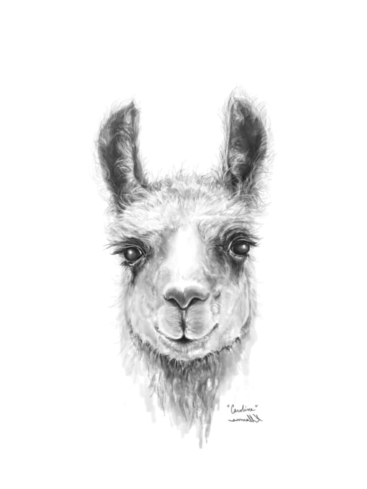 llama art