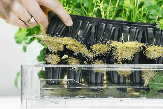 4d0b73db5bcbce6a275b5c357982f4b8_large