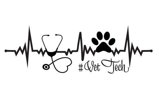 Penny Gonzalez of Santa Paula On When to Bring Your Pet to the Veterinarian