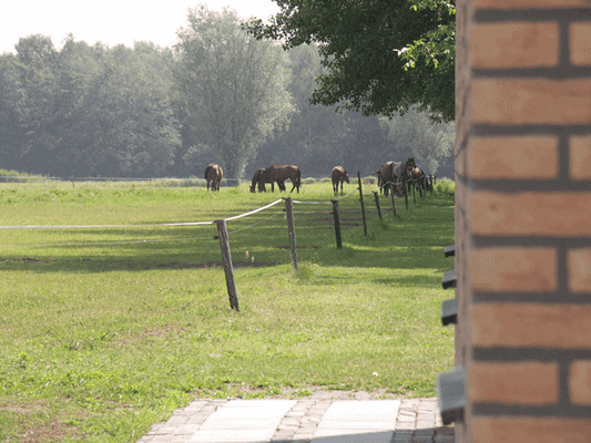 Hoeve ter Asdonck 1