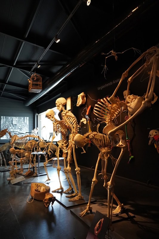 Kulturama Museum des Menschen