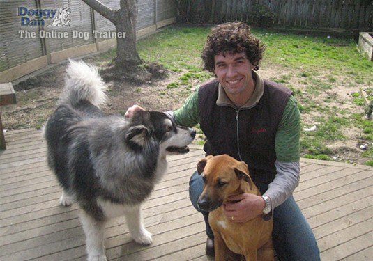 Dan kneeling on boardwalk with two dogs smiling into camera