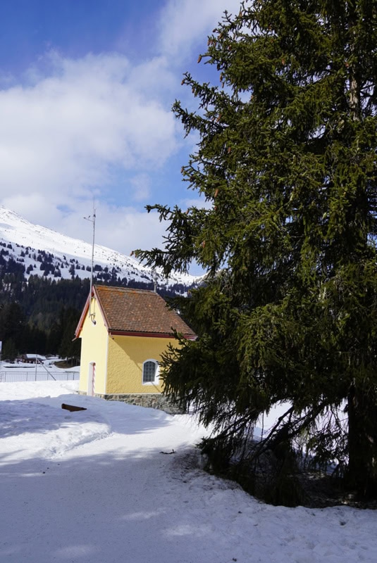 Foxtrail Arosa-Lenzerheide