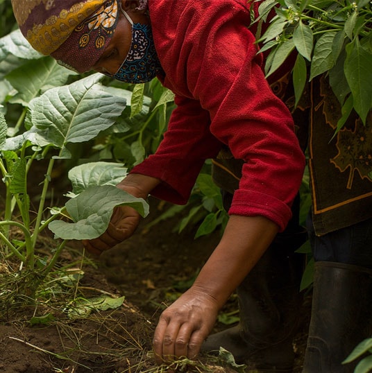 save-the-rain-clean-water-charity-planting
