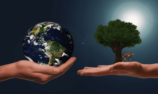 Tim Kealy Discusses the Seeds of Change: How Regenerative Practices Transform Modern Farming
