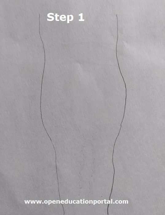 How To Draw Nervous System Step by step Easy Guide