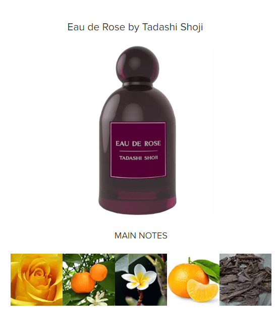 Eau de rose tadashi shoji deals