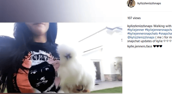 Kylie Jenner Now Owns an Adorable Pet Chicken