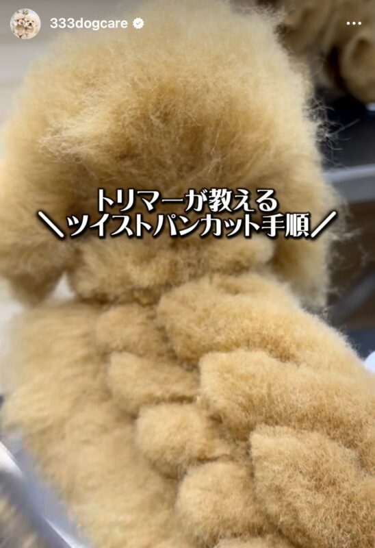 着せ替え用 全身ウィッグ | 333 Dog-Care トリミングの道具店