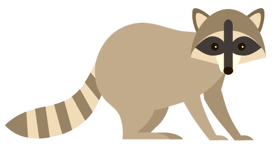 Raccoon - ScanAgile23