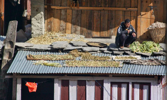 Annapurna Trekking