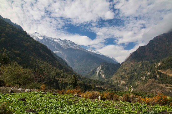 Annapurna Trekking