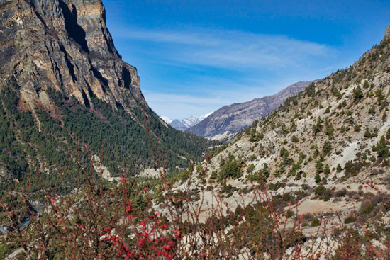 From Upper Pisang to Ghyaru on the Annapurna Trek