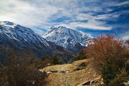 From Manag to Tilicho Base Camp