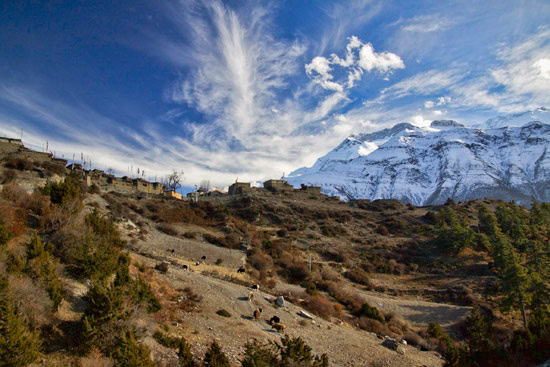 From Manag to Tilicho Base Camp