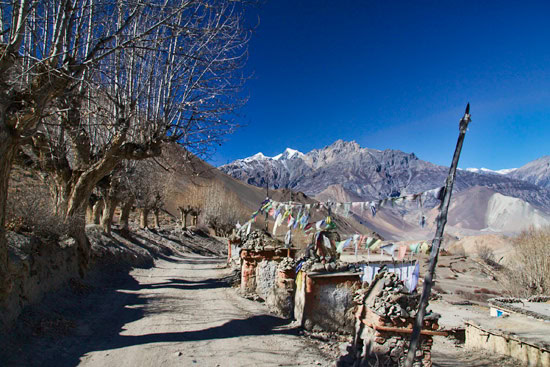 Annapurna Treck - over the pass