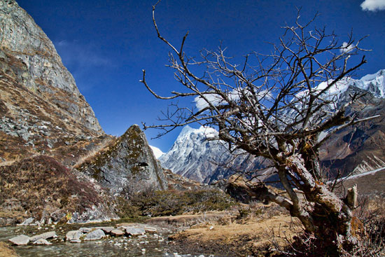 Langtang Valley