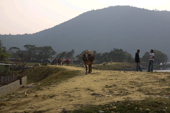 Pokhara