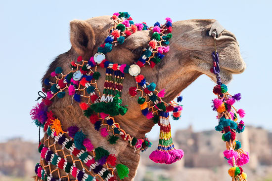 Jaiselmer