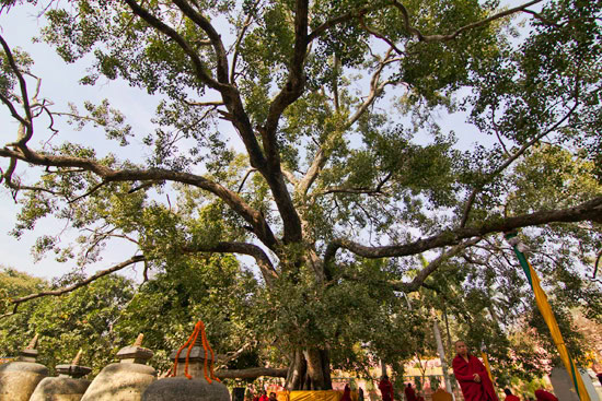 Bodh Gaya