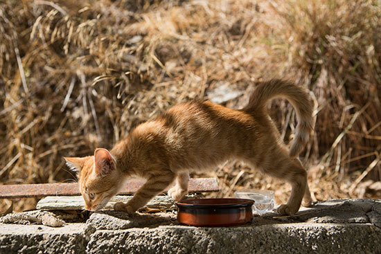 Kythira Greece 2012