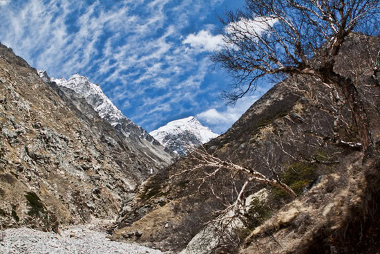 Gangotri to Gaumukh Glacier 2012