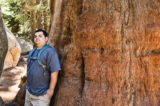 Sequoia National Park